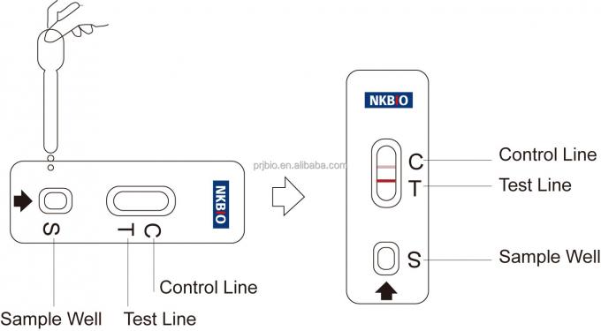 Oxytetracycline Rapid Test Kit for Seafood Antibiotic Residue Detection – Fast and Reliable