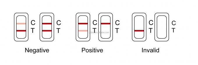 Oxytetracycline Rapid Test Kit for Seafood Antibiotic Residue Detection – Fast and Reliable