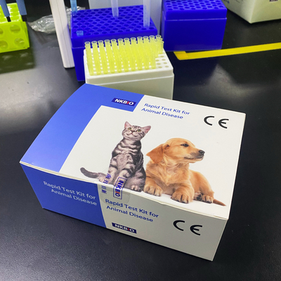 Kit de pruebas rápidas de brucelosis para bovinos, ovinos y cabras con brucela proveedor