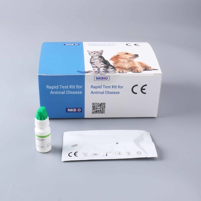 Pruebas para la rinotraqueitis bovina infecciosa (RBI) en animales con kits de detección de anticuerpos contra la RBI proveedor