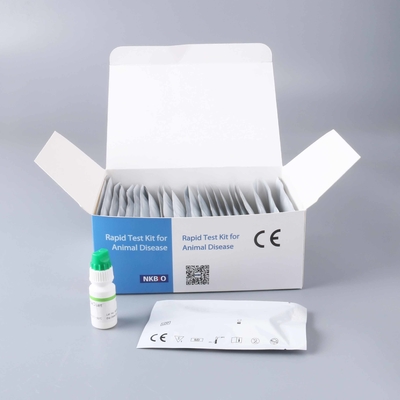 Pruebas para la rinotraqueitis bovina infecciosa (RBI) en animales con kits de detección de anticuerpos contra la RBI proveedor