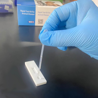 Kit de prueba de anticuerpos contra la brucela bovina bovina de un paso proveedor