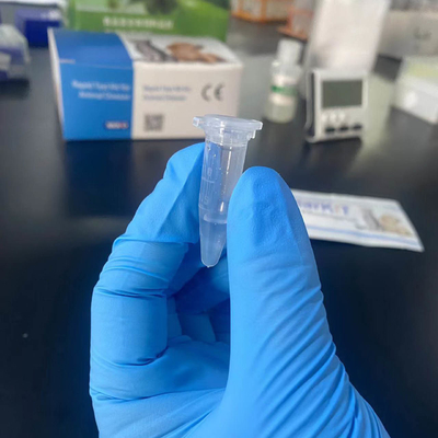 Diagnóstico de un kit de pruebas rápidas para la detección de la infección por distemper canina proveedor
