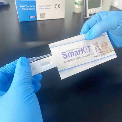 Kit de prueba de anticuerpos contra la brucela bovina bovina de un paso proveedor