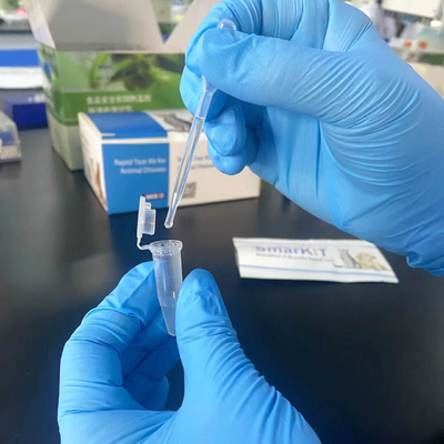 Kit de prueba de anticuerpos contra la brucela bovina bovina de un paso proveedor
