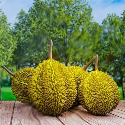 Kit de pruebas de metal pesado de cadmio para el durián   Detección rápida de contaminación por Cd en la fruta proveedor