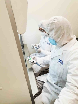 Prueba rápida de aflatoxina M1 en leche Prueba de antibióticos en leche proveedor