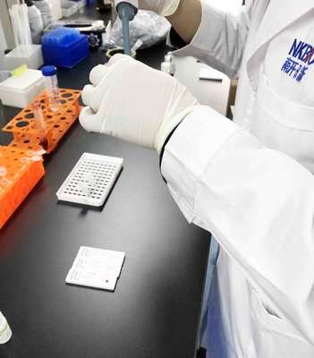 Banda de ensayo rápida de aflatoxina B1 para piensos para animales ((Alimento para pollos, piensos para ganado) Cereales y productos de cereales proveedor