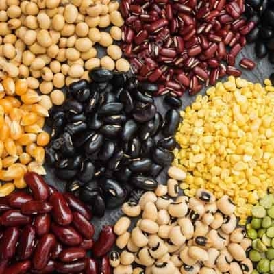 Kit de pruebas rápidas de melamina para granos de maíz, trigo, harina de maní, nueces y maíz proveedor