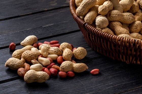 Kit de ensayo rápido de aflatoxinas para el ensayo de maíz y cacahuetes proveedor